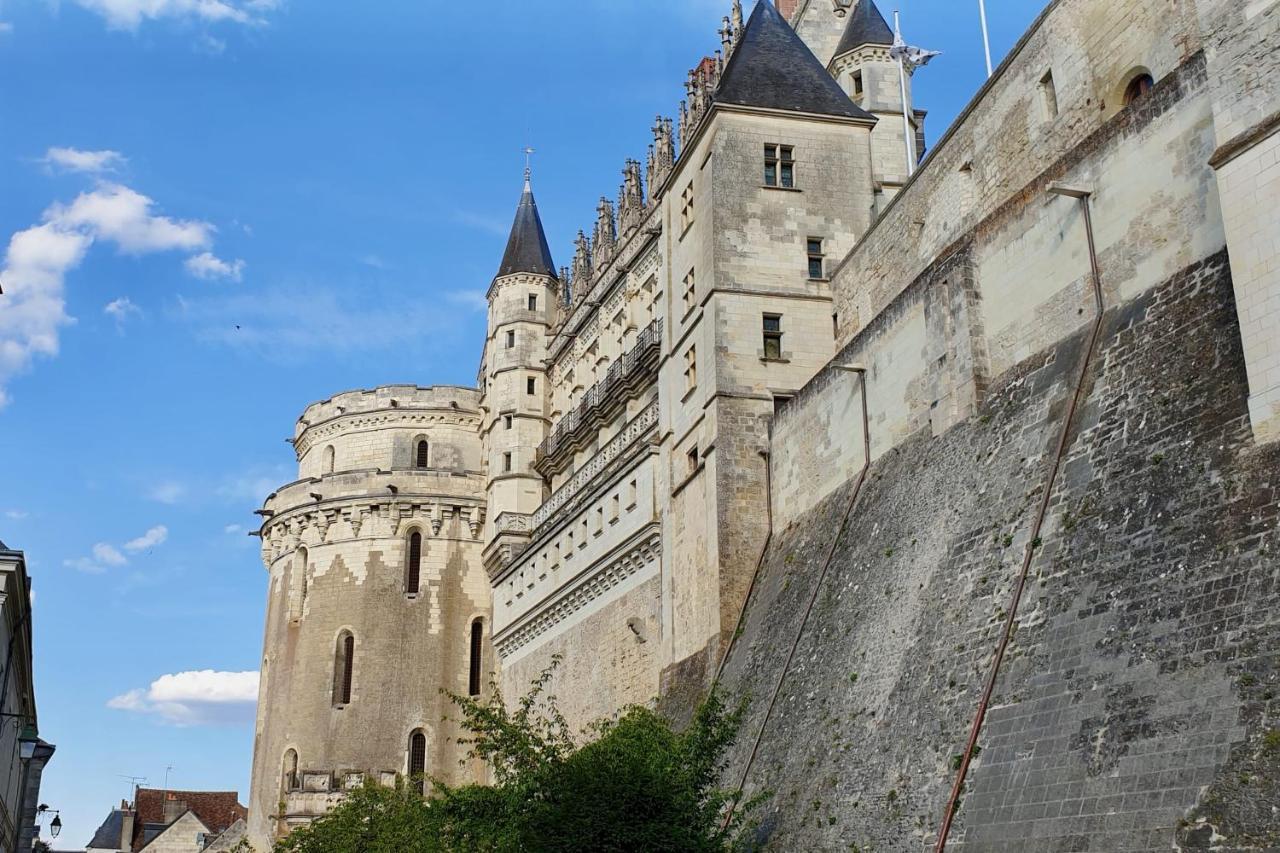 Splendid Apartment At The Foot Of The Castle Of Amboise - View Of The Loir Екстериор снимка