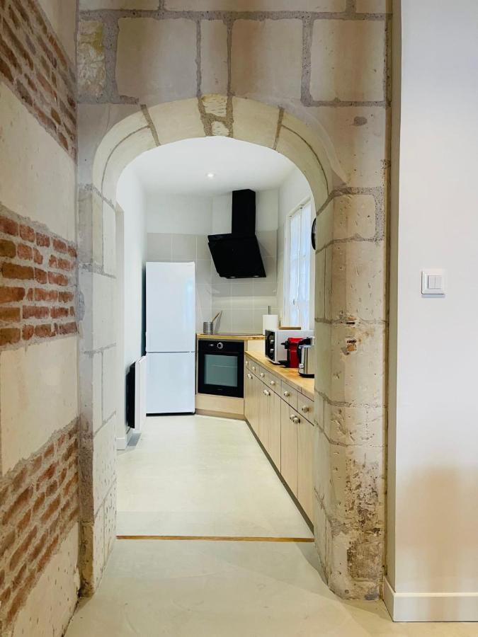 Splendid Apartment At The Foot Of The Castle Of Amboise - View Of The Loir Екстериор снимка